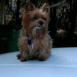 Meet your Posher, Lisa